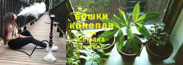 ECSTASY Иннополис