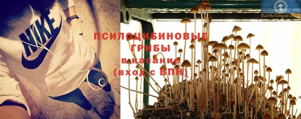 ECSTASY Иннополис